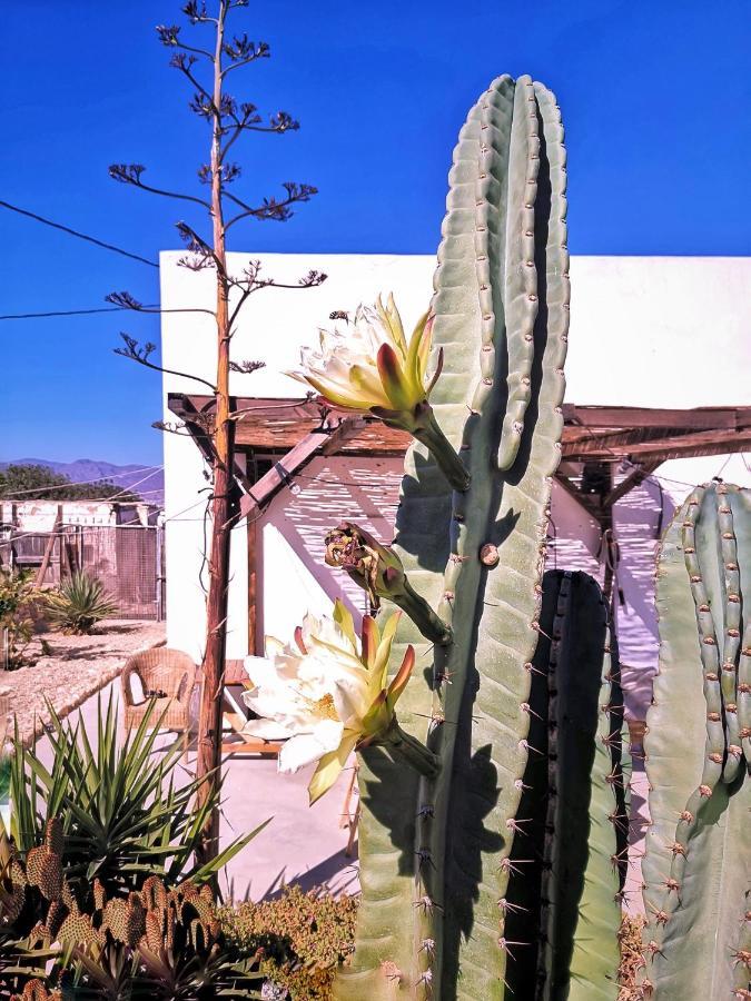Cortijo La Ciclona Διαμέρισμα Fernan Perez Εξωτερικό φωτογραφία